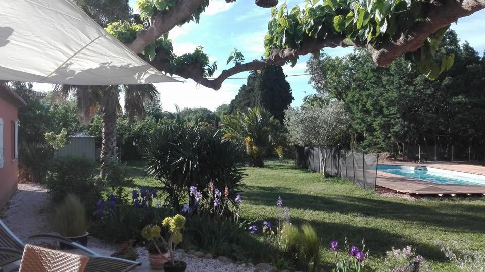 Gite Mas Uranie Le Soler ภายนอก รูปภาพ